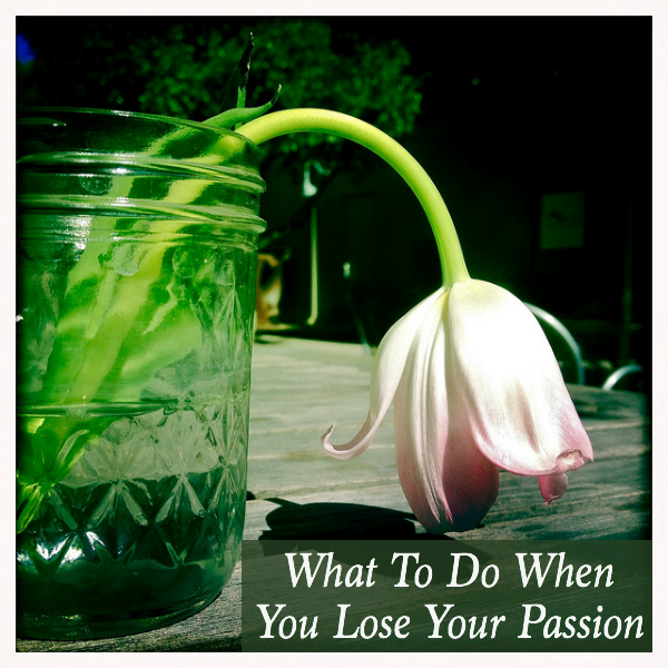 What To Do When You Lose Your Passion - I recently lost my passion and I'm sharing a few tips.