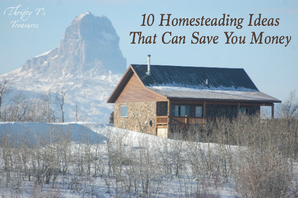 10 Homesteading Ideas That Can Save You Money