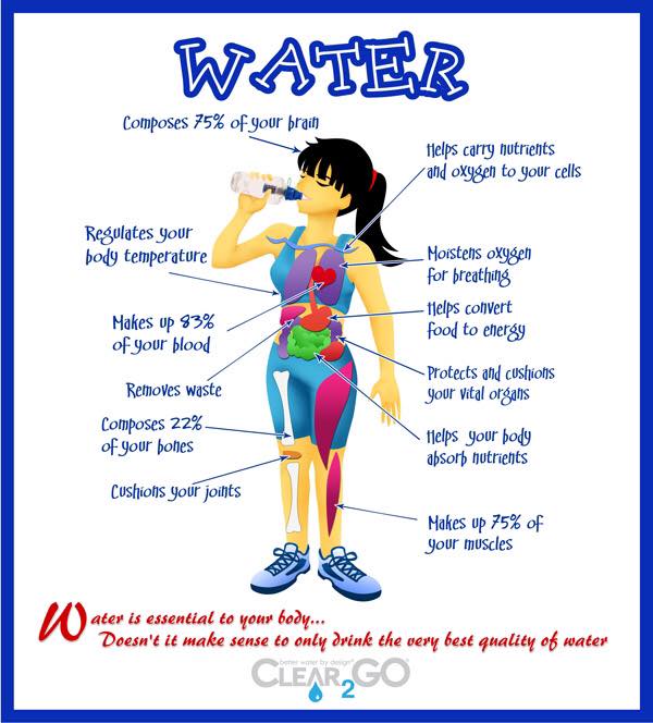 chart with benefits of drinking water